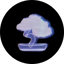 Image of BONSAI