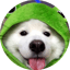 Görsel: FROGDOG
