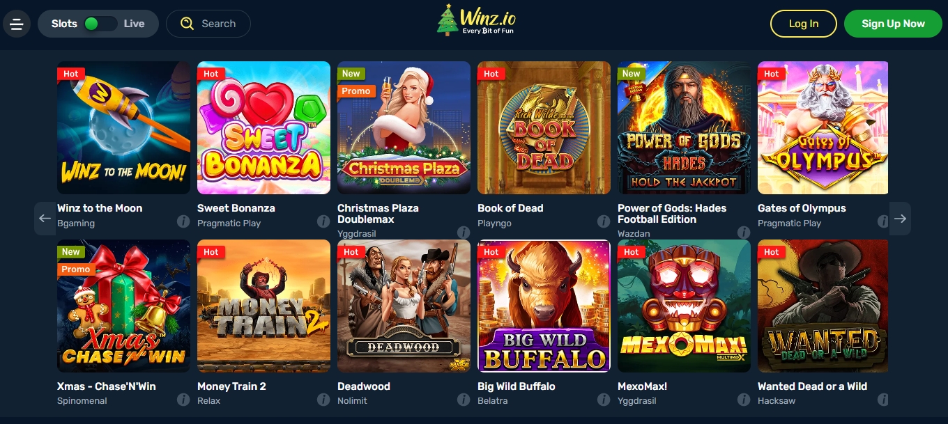 Best crypto and bitcoin casino Winz