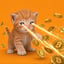 Image of BTC