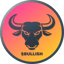 Görüntüsü BULLISH