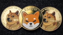 Battle of the Meme Coins: Dogecoin Vs Shiba Inu Vs KangaMoon, Which Memecoin Will Dominate in 2024