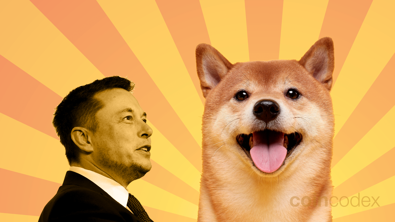 Elon Musk & Shiba Inu – What is the Relationship? | CoinCodex