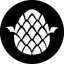 Image of EGGX