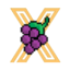 Изображение XGRAPE