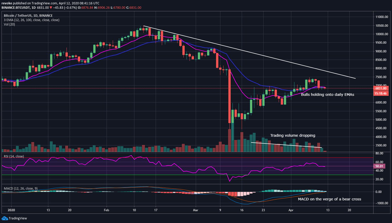 BTC Daily Chart