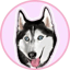 Image of MEEKA