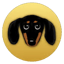 Image of DSD