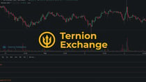 How to Trade Cryptocurrency on Ternion Exchange? Getting Started on Ternion