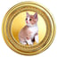 Görsel: KATT1