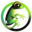 Image of GECK