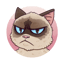Image of GRUMPY