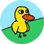 Image of DUCK