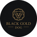 Black Gold Dog
