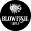 Immagine di BLOWFISH