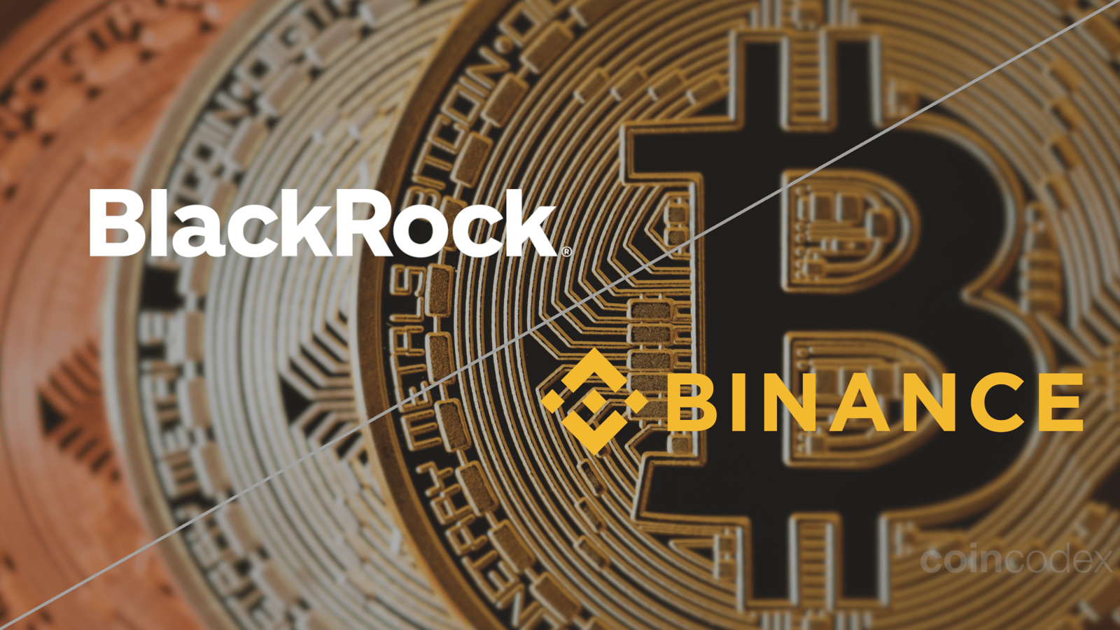 Does BlackRock Own More BTC Than Binance? | CoinCodex