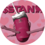 Image of STAN