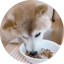 Image of OISHII