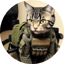 Immagine di CAT
