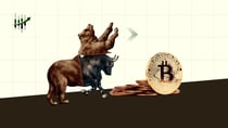 Bitcoin Price Analysis: Top Expert Predicts Timeline for Next Bull Run!