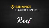 Reef Finance IEO on Binance - Stake BNB, BUSD or DOT Tokens and particiate in Binance IEO