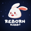 Изображение RBR