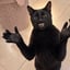 Bild von CLAPCAT