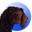 Immagine di LABRA