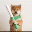 Image of BATON
