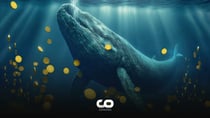 Whales Accumulating Stablecoins: What Does It Mean for Bitcoin?