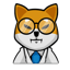 Image of DOCTORSHIBA