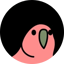 Image of PARROT1
