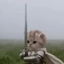 Bild von SWORDCAT