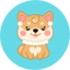 Image of MOMMYDOGE