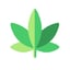 Immagine di WEED