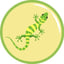Image de GECKO