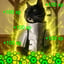 Image of XP/XSOL