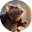 Image of RAT