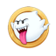Image of SINU