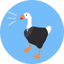 Imagem de HONK