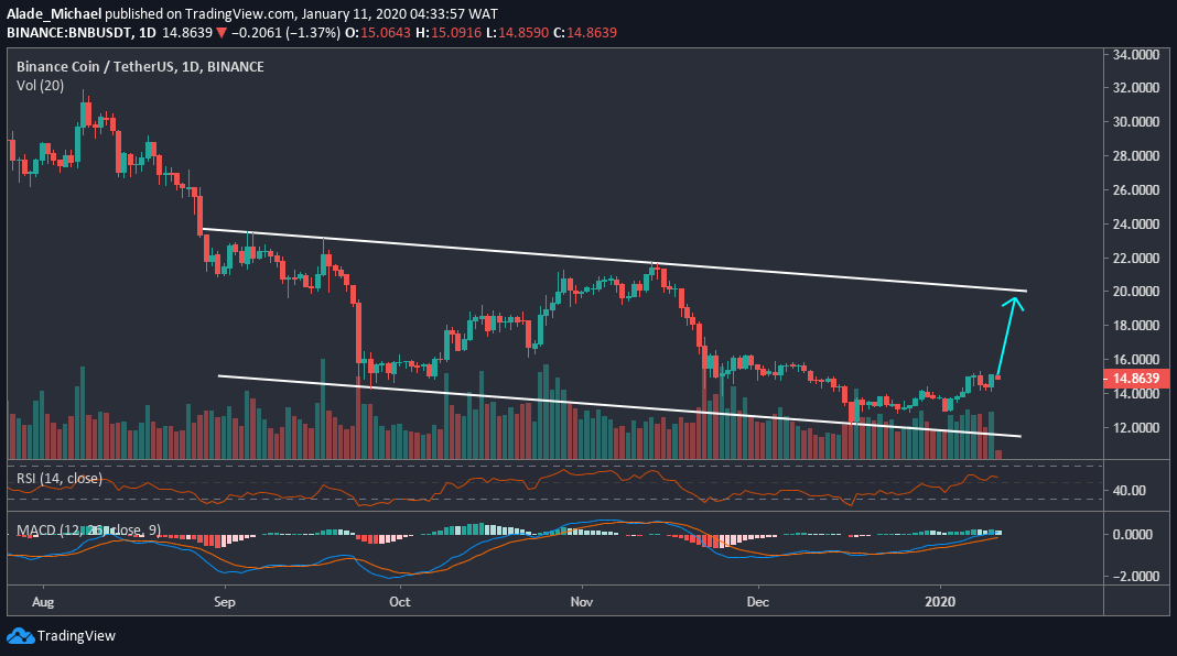 BNB Daily Chart