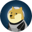 Image of DOGE12