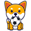 Minifootball