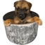 Slika za POTDOG