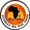 The Big Five Token