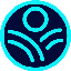 Image of MFO