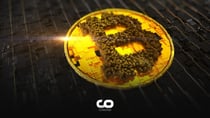 Bitcoin’s Future Predicted by CryptoCon’s “28 November Cycle Theory”