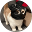 Image of BANGY