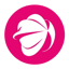 Image of STIBCX