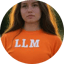 Image of LLM